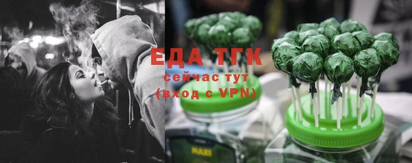 мдпв Елабуга