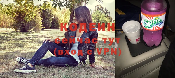 трава Ельня