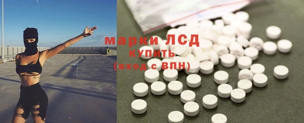 мдпв Елабуга