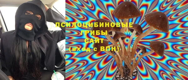 трава Ельня