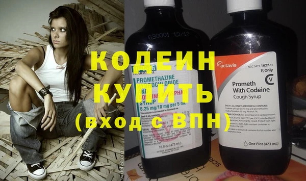 мдпв Елабуга