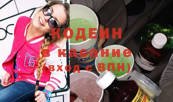 трава Ельня