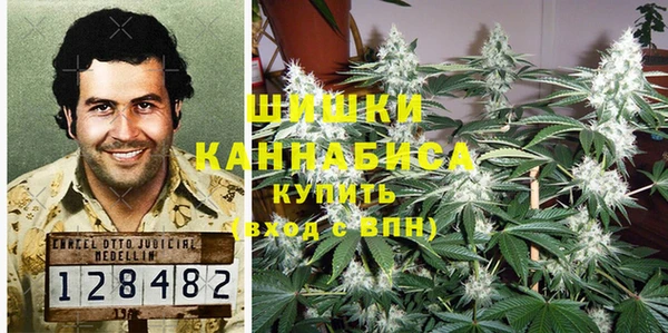 мдпв Елабуга