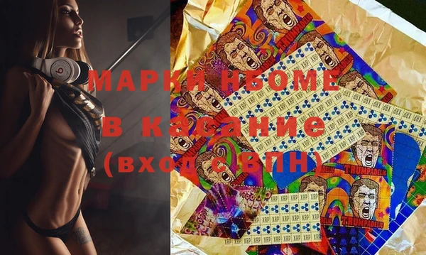 мдпв Елабуга
