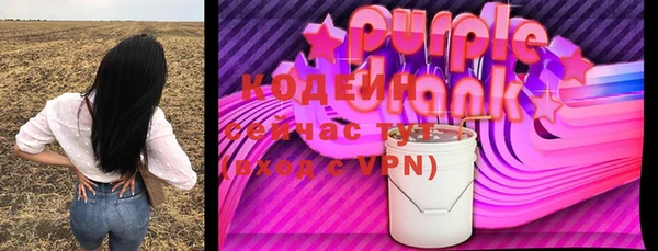 хмурый Елизово