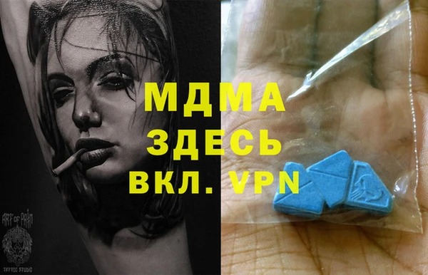 мдпв Елабуга