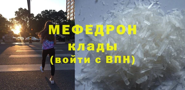 трава Ельня
