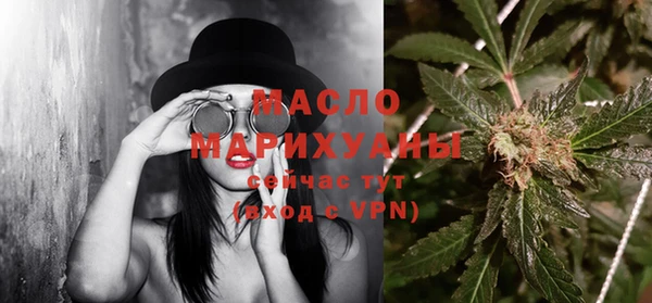 трава Ельня