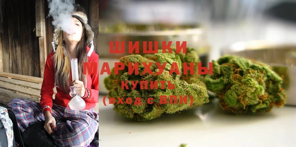 мдпв Елабуга