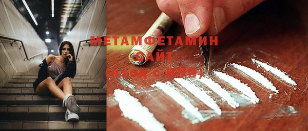 трава Ельня