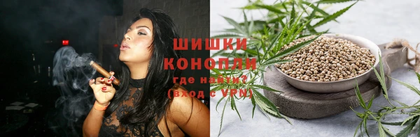 мдпв Елабуга